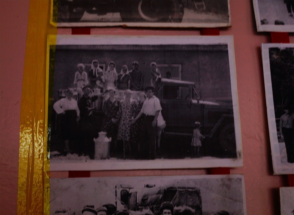 Имение Шамшевых на Кагальнике