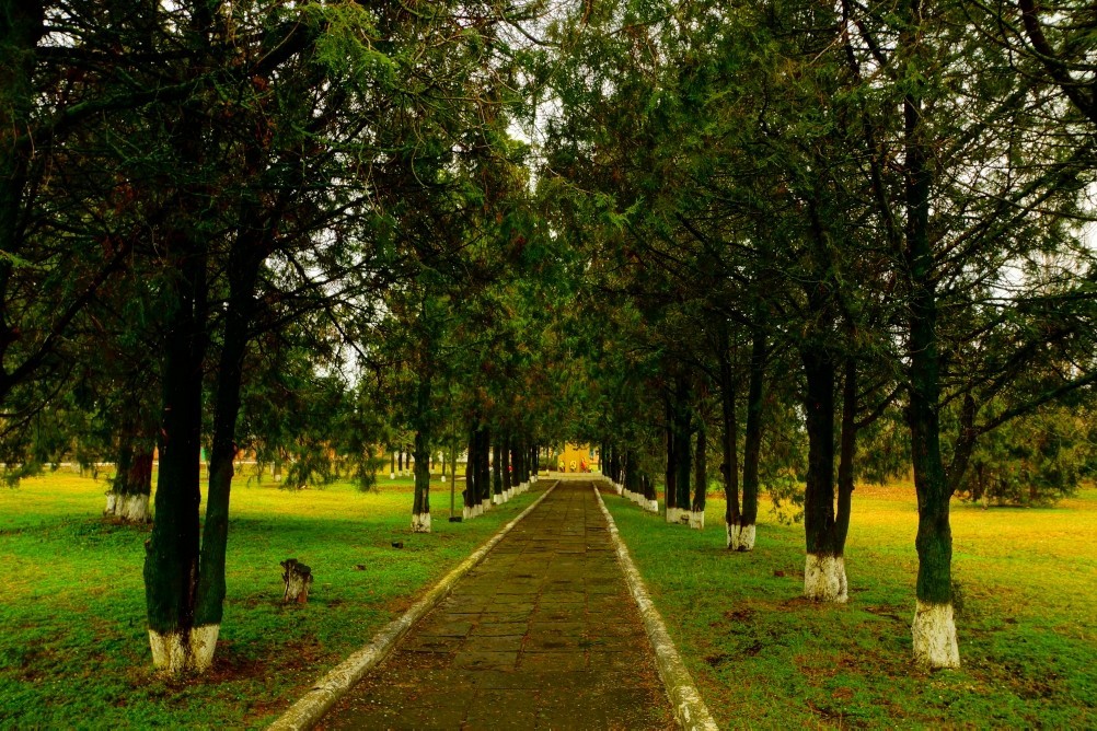 Имение Шамшевых на Кагальнике