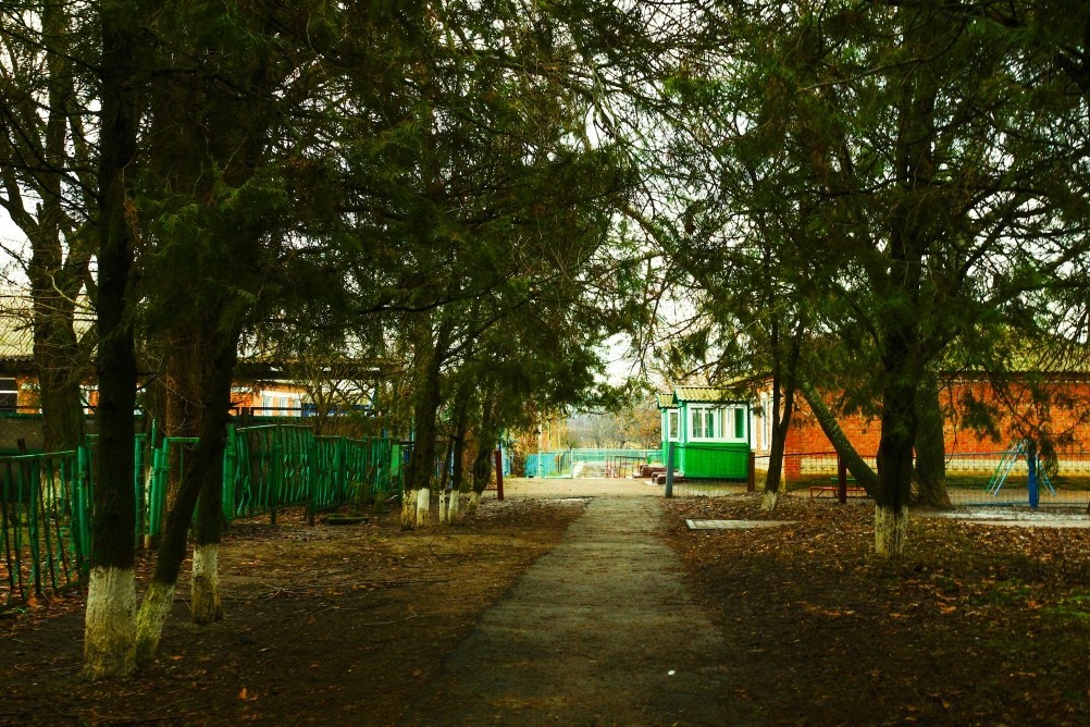 Имение Шамшевых на Кагальнике