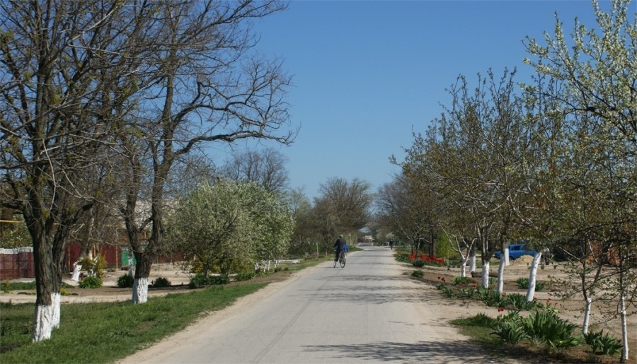 Имение Шамшевых на Кагальнике