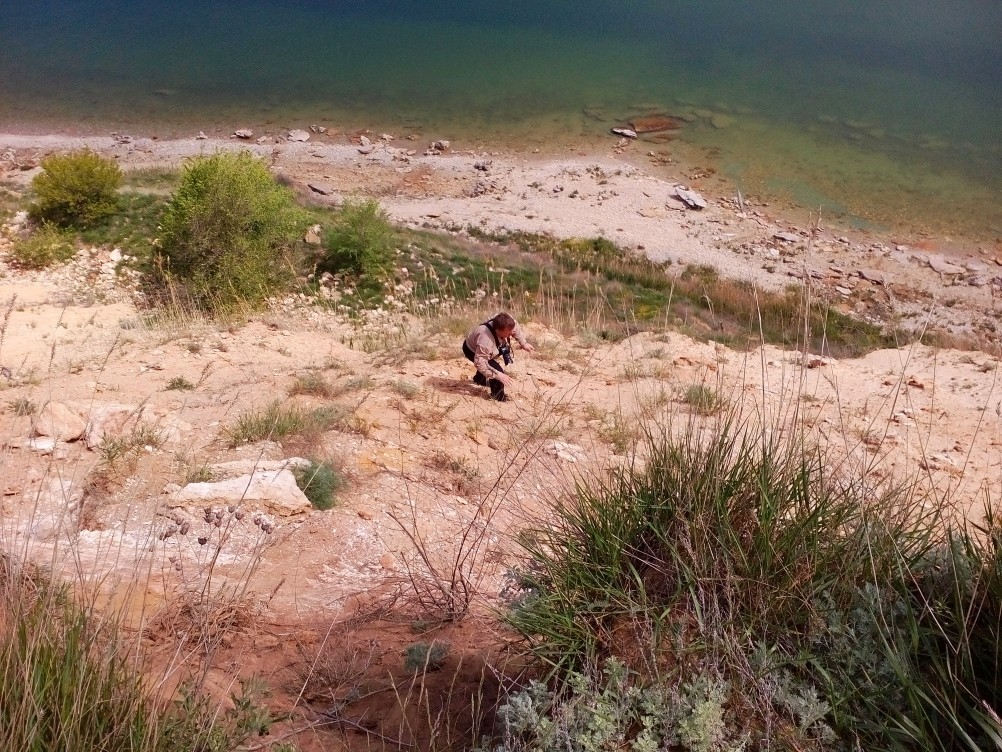 Хазары, Хазарский каганат, Саркел, Правобережное городище, Цимлянское водохранилище