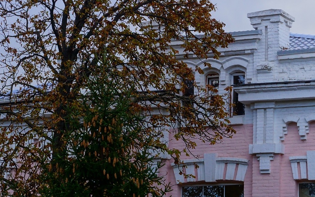 Чердачные окна улицы Варфоломеева, сфотографированные пригожим октябрьским днем.