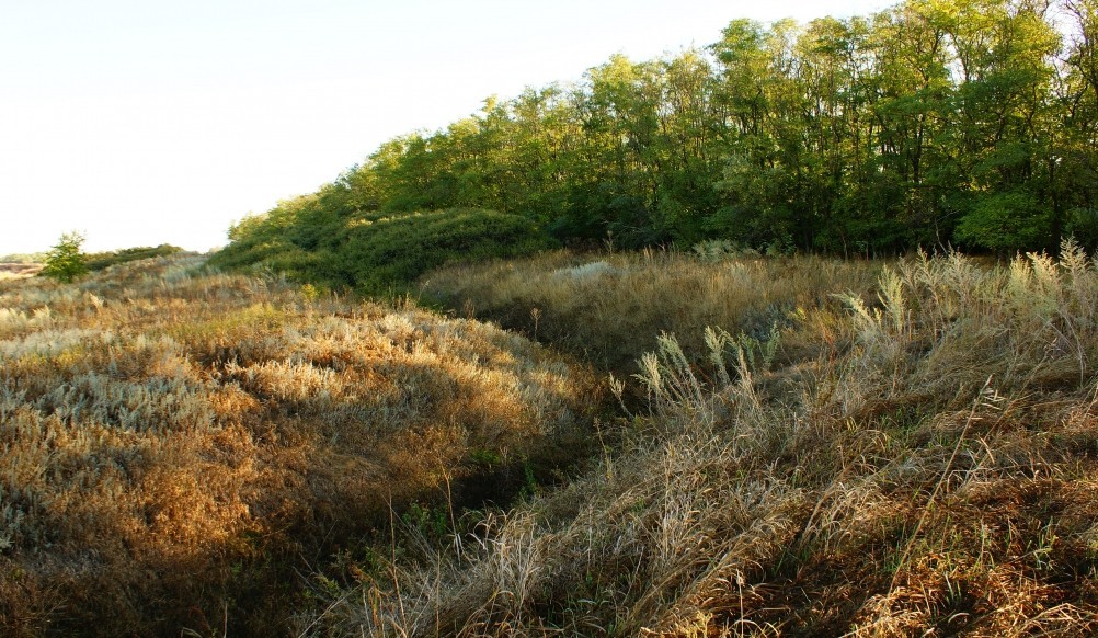 Кольцо противотанковых рвов вокруг Ростова-на-Дону. Следы рвов на территории современного города. Кольцо противотанковых рвов вокруг Ростова-на-Дону. Следы рвов на территории современного города.