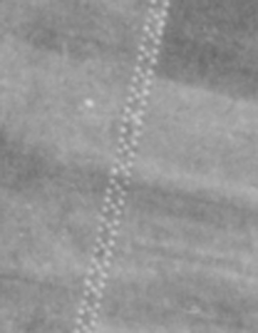 Противотанковые надолбы на рубежах обороны вокруг Ростова-на-Дону Противотанковые надолбы на рубежах обороны вокруг Ростова-на-Дону