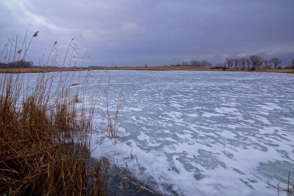 Операция Дон, Операция Гроссталинград, Рейд Егорова, поселок Истомино Операция Дон, Операция Гроссталинград, Рейд Егорова, поселок Истомино