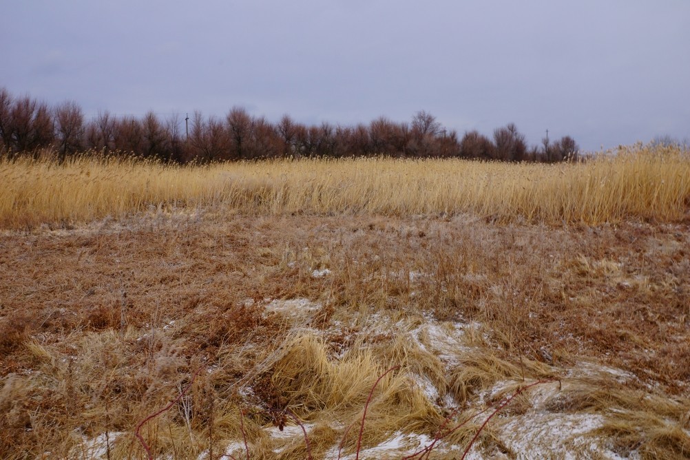 Операция Дон, Операция Гроссталинград, Рейд Егорова, поселок Истомино Операция Дон, Операция Гроссталинград, Рейд Егорова, поселок Истомино