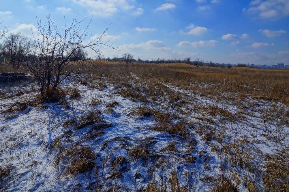Дон, турецкие каланчи под Азовом. Шахи, Султанийе. Дон, турецкие каланчи под Азовом. Шахи, Султанийе.