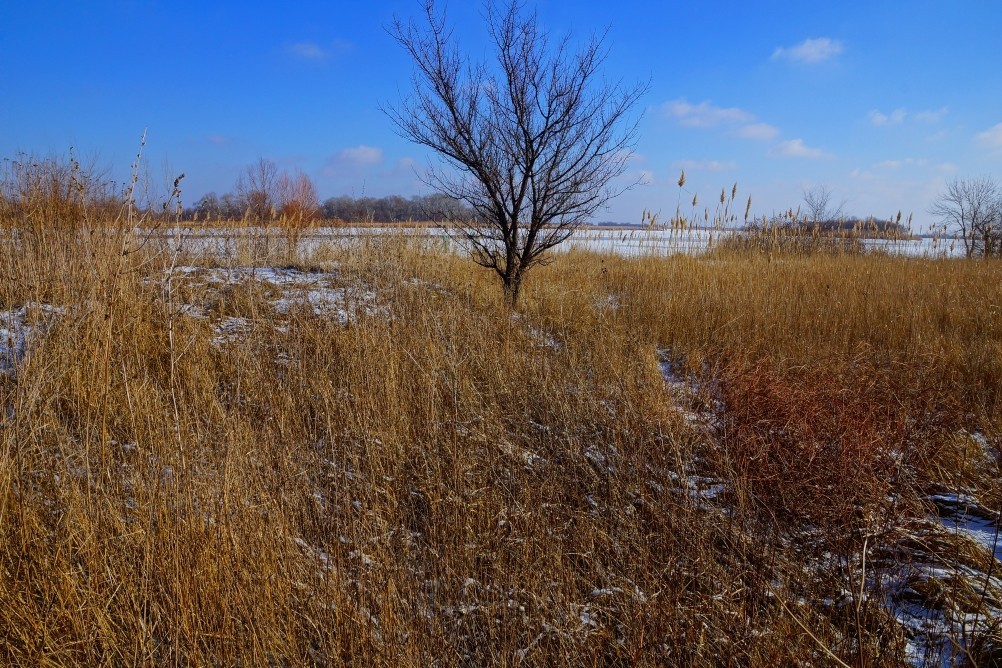 Дон, турецкие каланчи под Азовом. Шахи, Султанийе. Дон, турецкие каланчи под Азовом. Шахи, Султанийе.
