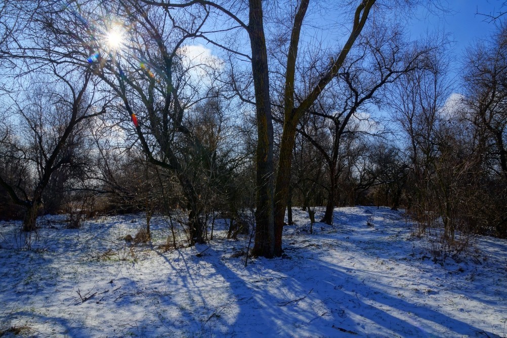 Дон, турецкие каланчи под Азовом. Шахи, Султанийе. Дон, турецкие каланчи под Азовом. Шахи, Султанийе.
