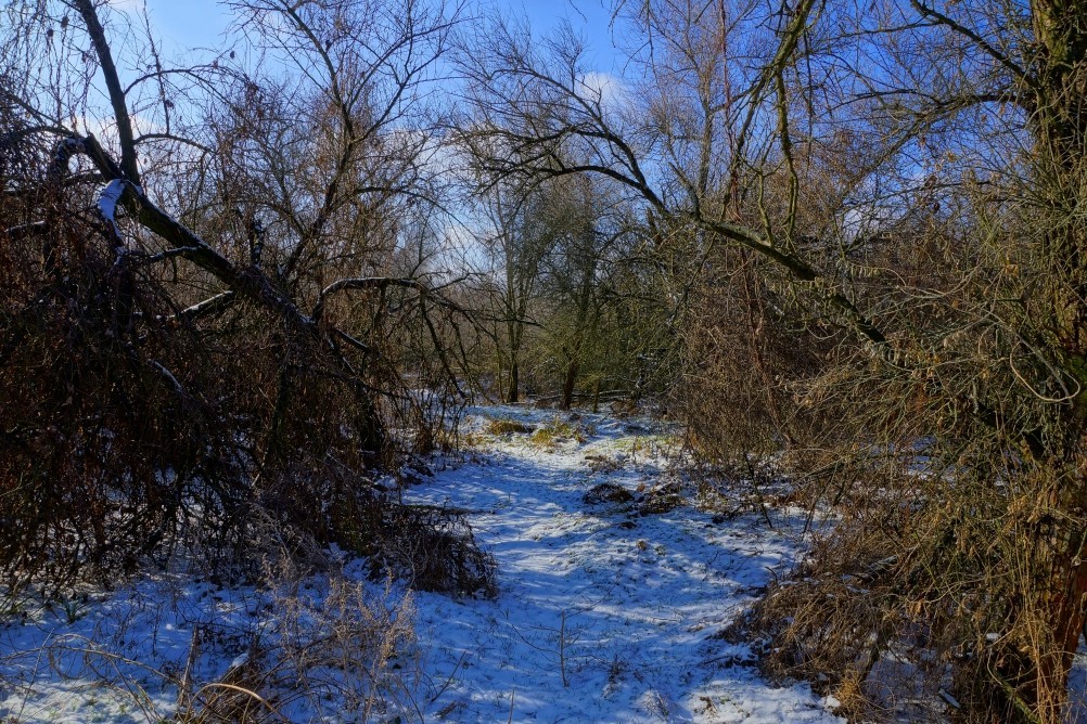 Дон, турецкие каланчи под Азовом. Шахи, Султанийе. Дон, турецкие каланчи под Азовом. Шахи, Султанийе.