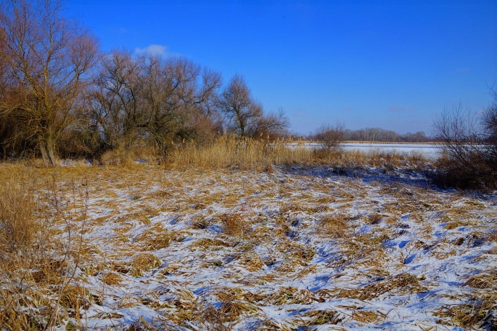 Дон, турецкие каланчи под Азовом. Шахи, Султанийе. Дон, турецкие каланчи под Азовом. Шахи, Султанийе.