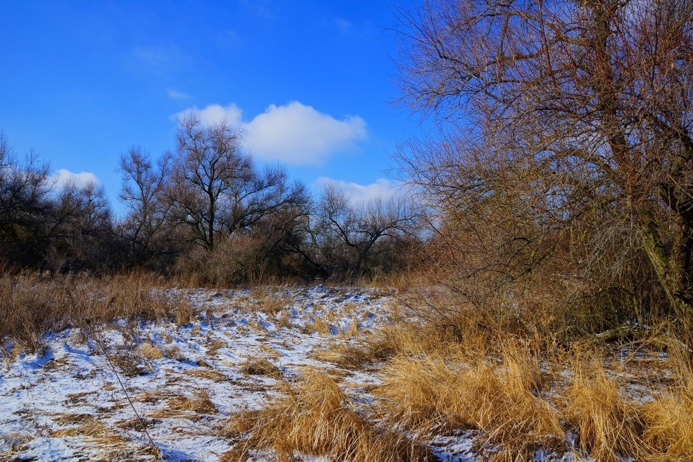 Дон, турецкие каланчи под Азовом. Шахи, Султанийе. Дон, турецкие каланчи под Азовом. Шахи, Султанийе.