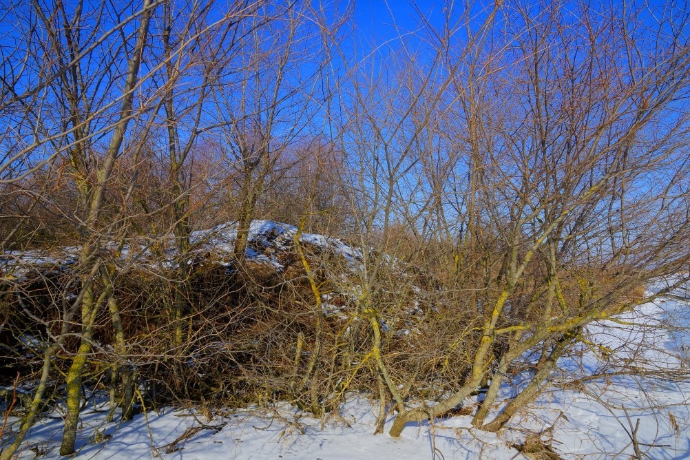 Дон, турецкие каланчи под Азовом. Шахи, Султанийе. Дон, турецкие каланчи под Азовом. Шахи, Султанийе.