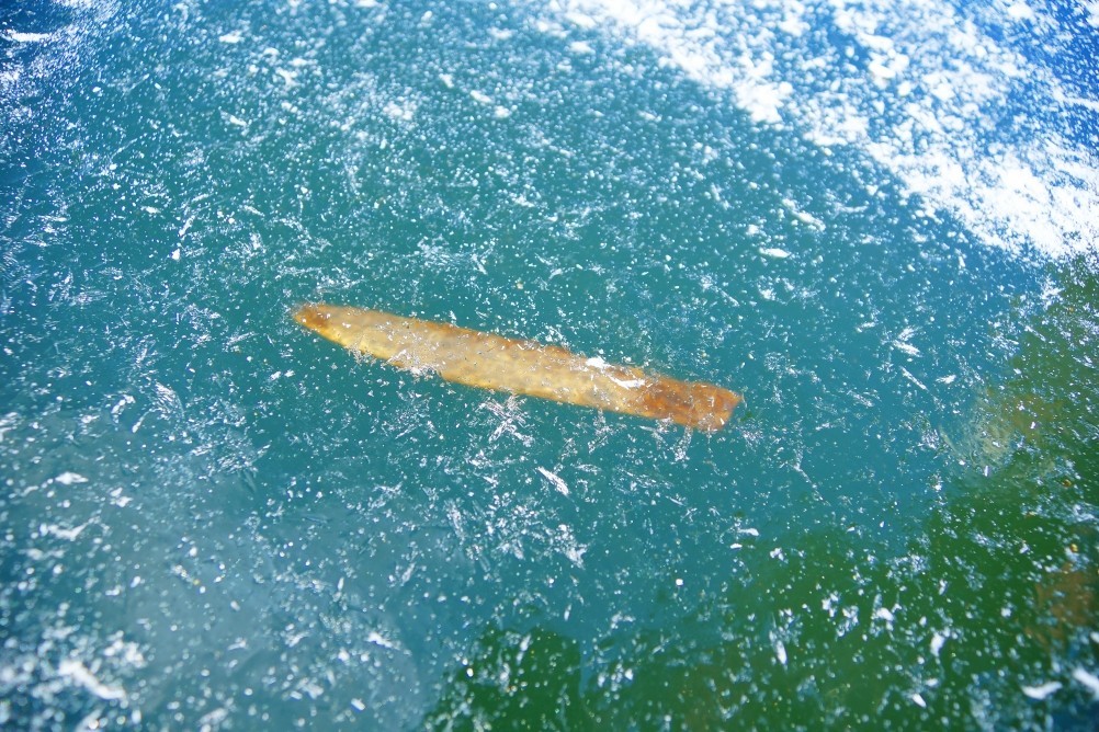 Дон, турецкие каланчи под Азовом. Шахи, Султанийе. Дон, турецкие каланчи под Азовом. Шахи, Султанийе.