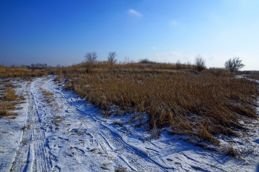 Дон, турецкие каланчи под Азовом. Шахи, Султанийе. Дон, турецкие каланчи под Азовом. Шахи, Султанийе.