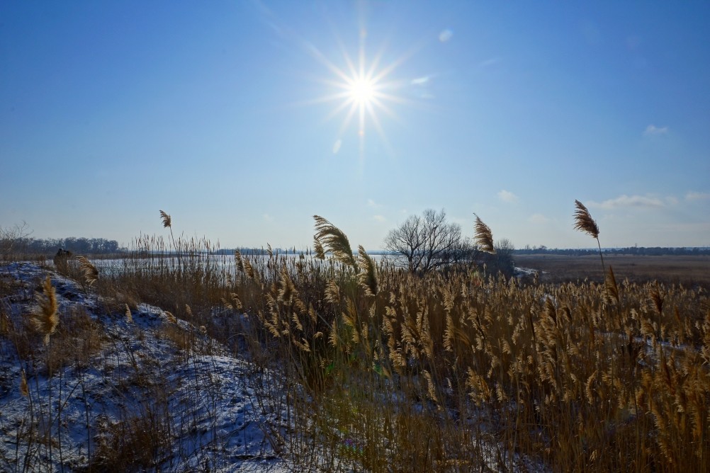 Дон, турецкие каланчи под Азовом. Шахи, Султанийе. Дон, турецкие каланчи под Азовом. Шахи, Султанийе.
