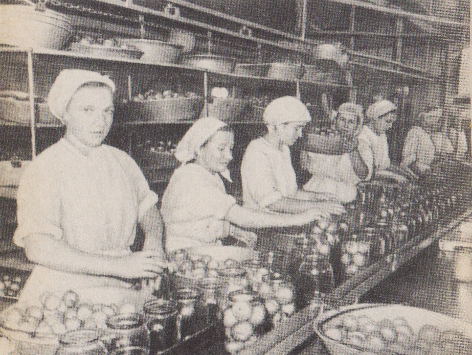 Промышленность Дона Смычка Промышленность Дона Смычка