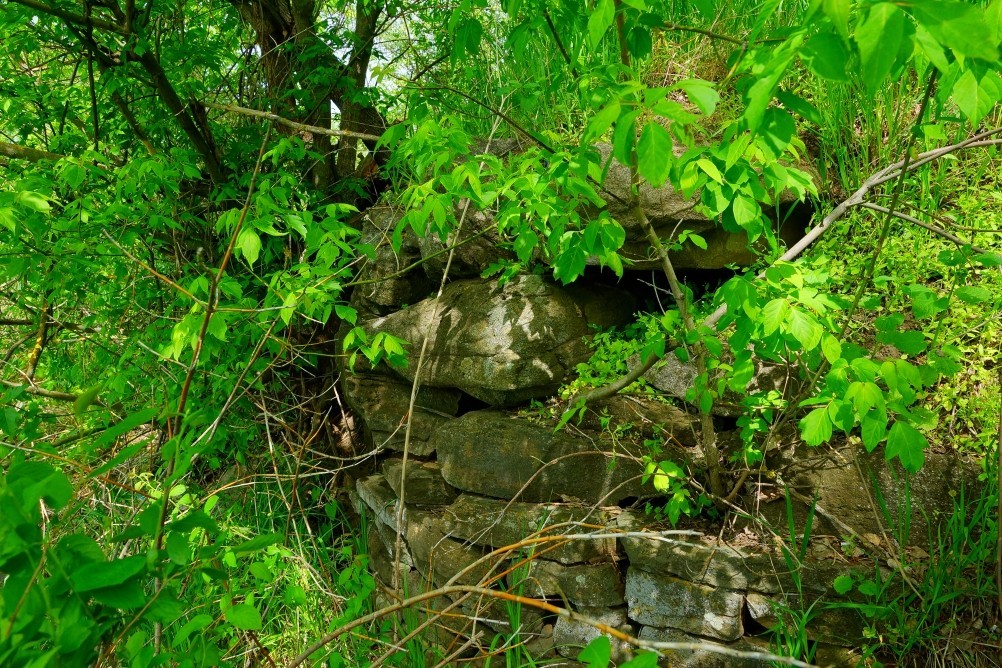 Старая мельница у хутора Крутинского на реке Калитве. Старая мельница у хутора Крутинского на реке Калитве.