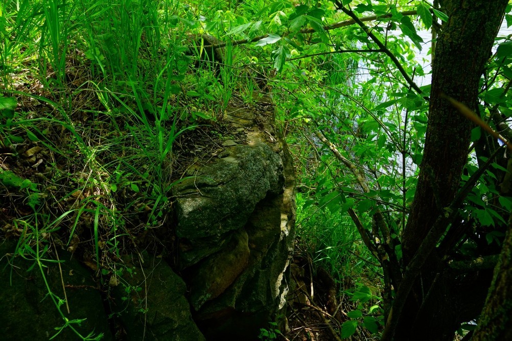 Старая мельница у хутора Крутинского на реке Калитве. Старая мельница у хутора Крутинского на реке Калитве.