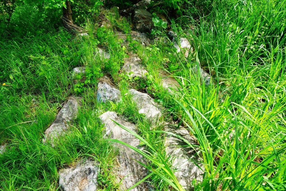 Старая мельница у хутора Крутинского на реке Калитве. Старая мельница у хутора Крутинского на реке Калитве.