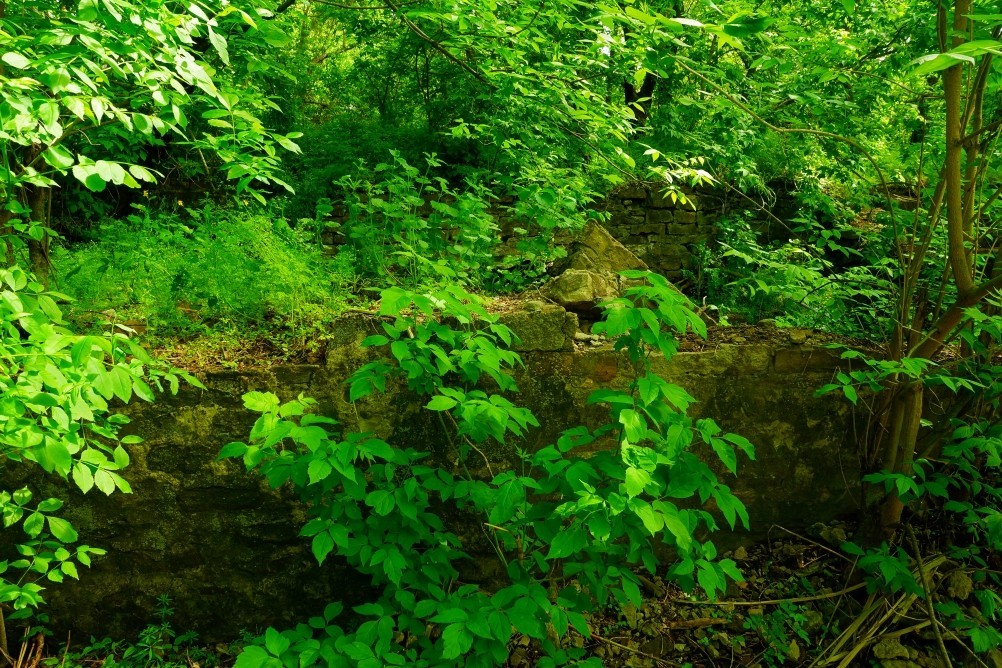 Старая мельница у хутора Крутинского на реке Калитве. Старая мельница у хутора Крутинского на реке Калитве.