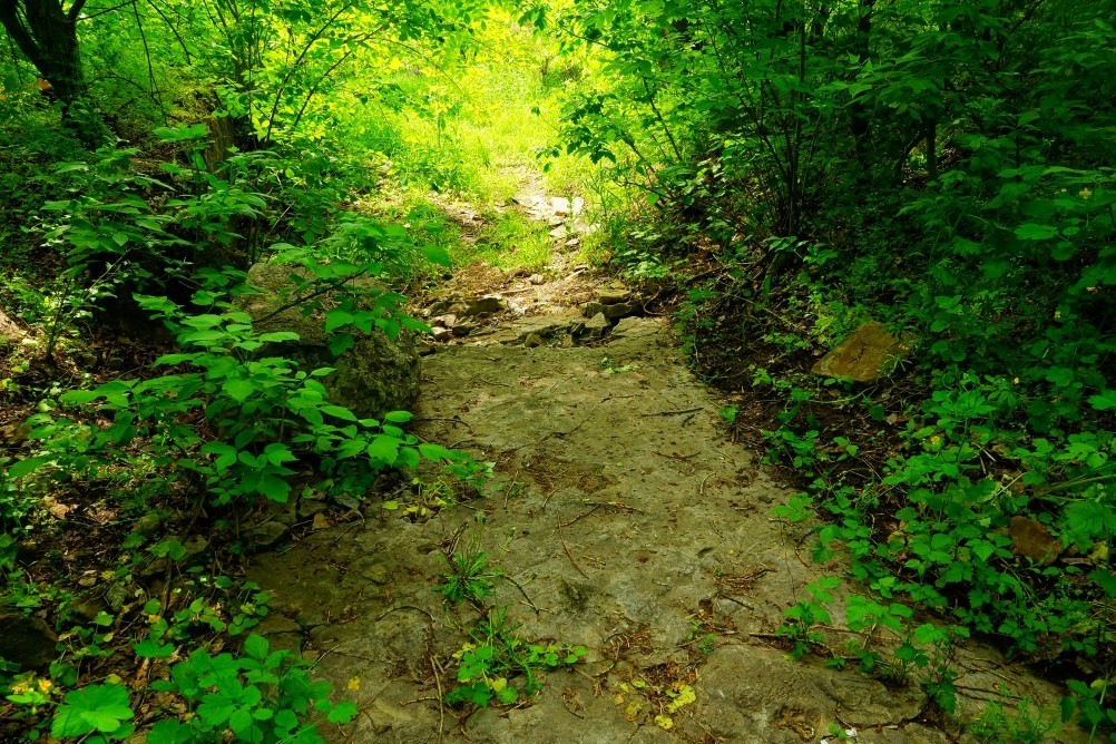 Старая мельница у хутора Крутинского на реке Калитве. Старая мельница у хутора Крутинского на реке Калитве.