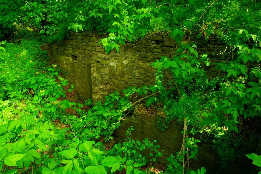 Старая мельница у хутора Крутинского на реке Калитве. Старая мельница у хутора Крутинского на реке Калитве.