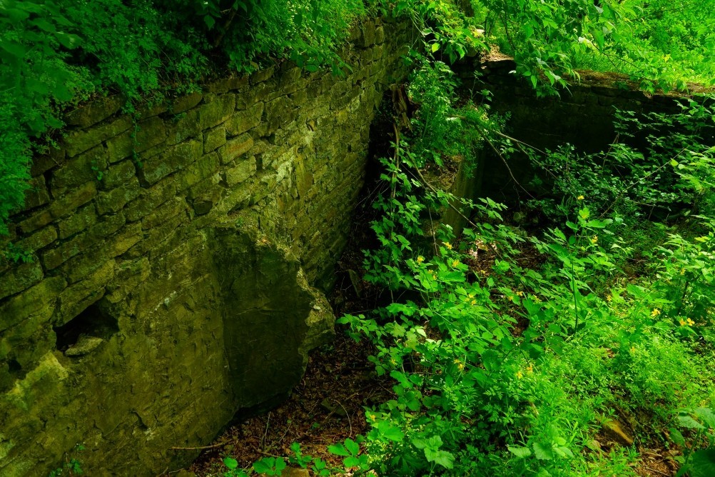 Старая мельница у хутора Крутинского на реке Калитве. Старая мельница у хутора Крутинского на реке Калитве.