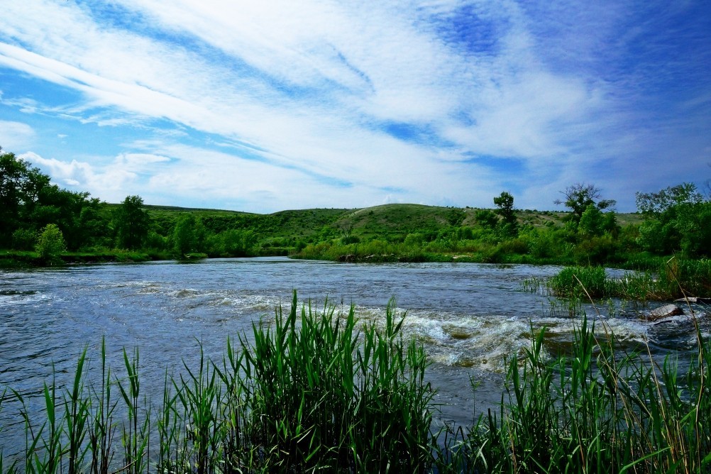 Старая мельница у хутора Крутинского на реке Калитве. Старая мельница у хутора Крутинского на реке Калитве.
