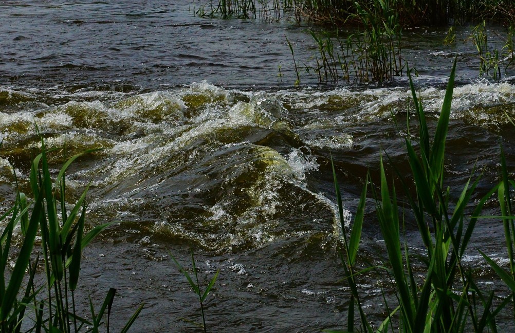 Старая мельница у хутора Крутинского на реке Калитве. Старая мельница у хутора Крутинского на реке Калитве.