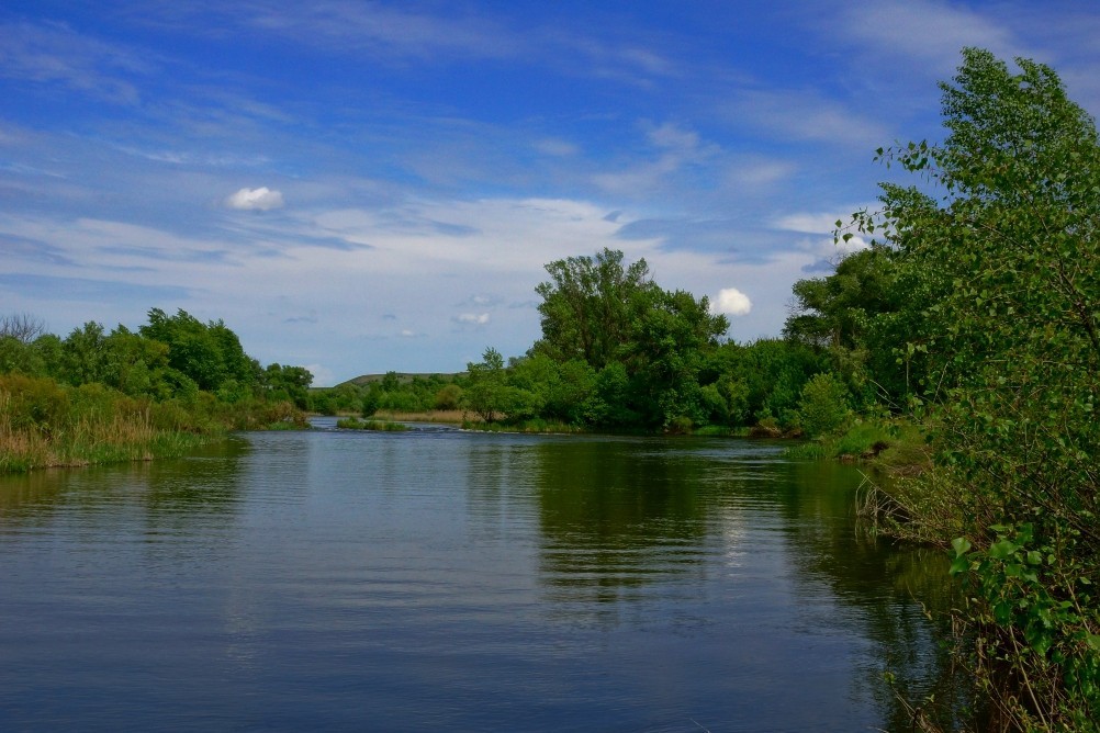 Старая мельница у хутора Крутинского на реке Калитве. Старая мельница у хутора Крутинского на реке Калитве.