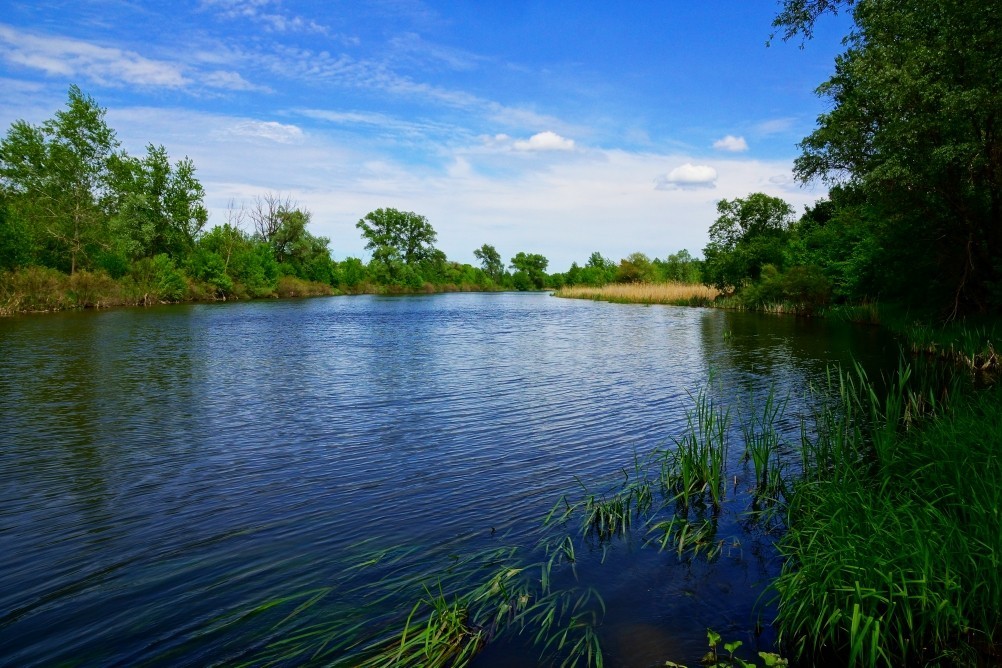 Старая мельница у хутора Крутинского на реке Калитве. Старая мельница у хутора Крутинского на реке Калитве.