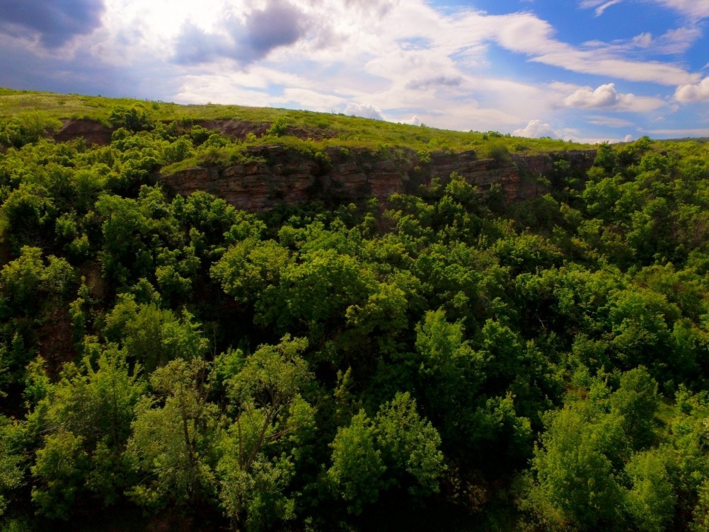 Старая мельница у хутора Крутинского на реке Калитве. Старая мельница у хутора Крутинского на реке Калитве.