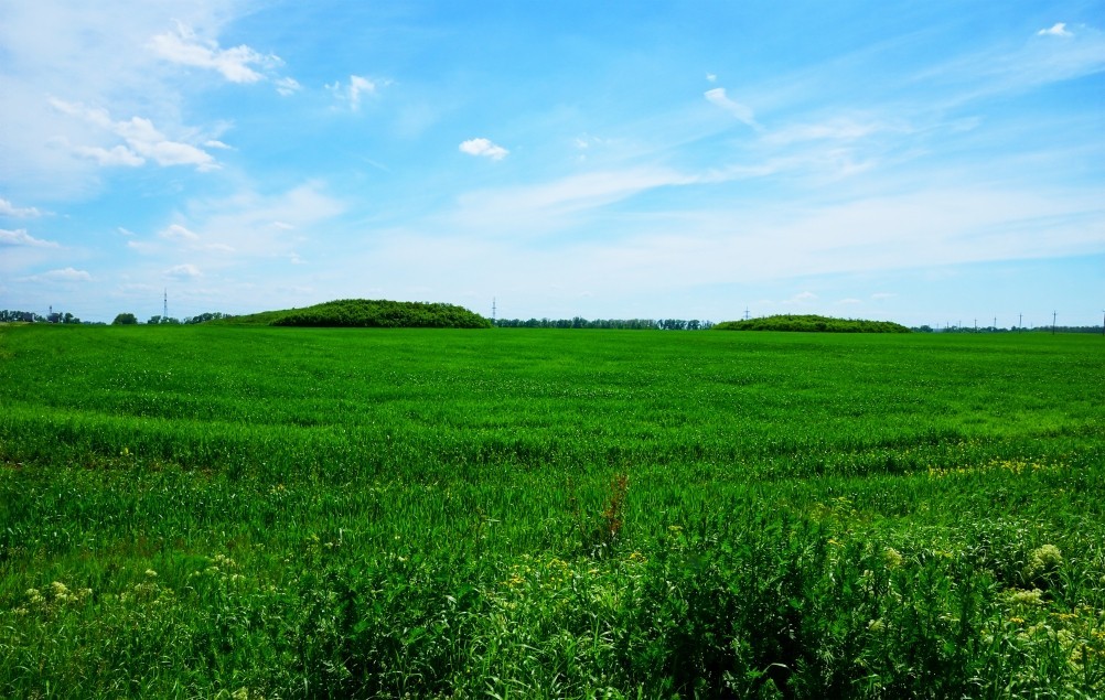 Бои за Ростов 17 декабря 1941 г. Батарея Оганова. Бои за Ростов 17 декабря 1941 г. Батарея Оганова.