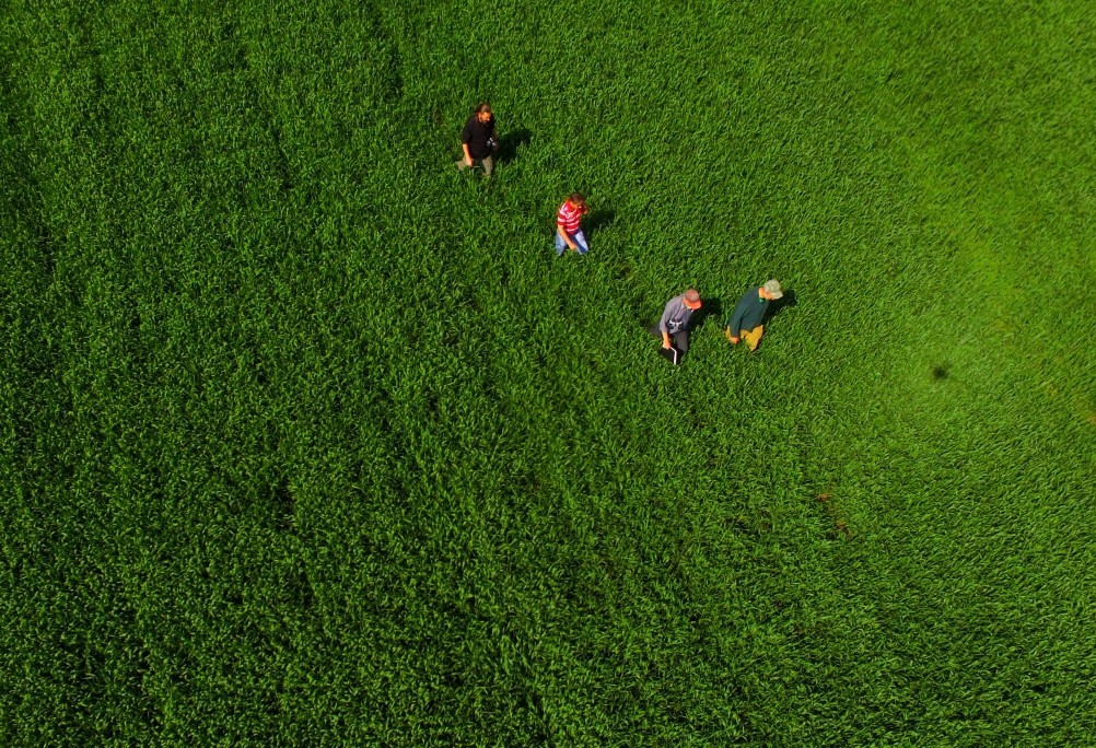 Бои за Ростов 17 декабря 1941 г. Батарея Оганова. Бои за Ростов 17 декабря 1941 г. Батарея Оганова.