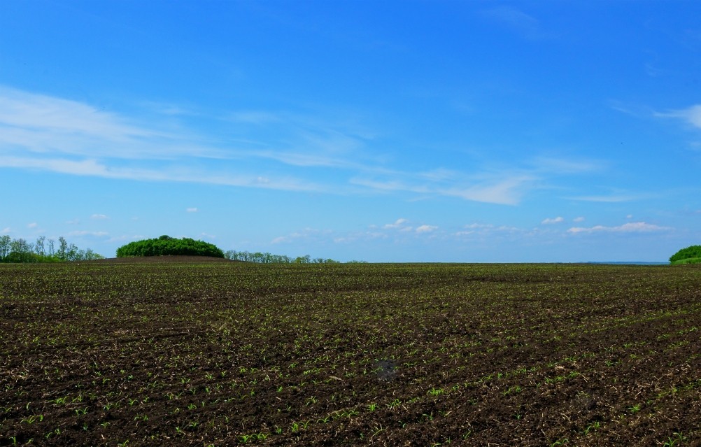 Бои за Ростов 17 декабря 1941 г. Батарея Оганова. Бои за Ростов 17 декабря 1941 г. Батарея Оганова.