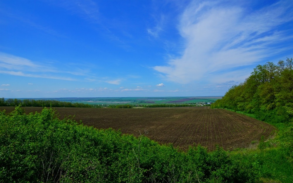 Бои за Ростов 17 декабря 1941 г. Батарея Оганова. Бои за Ростов 17 декабря 1941 г. Батарея Оганова.