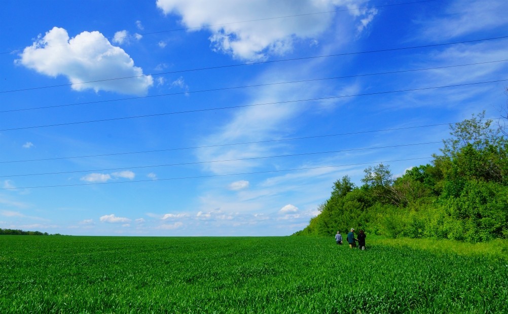 Бои за Ростов 17 декабря 1941 г. Батарея Оганова. Бои за Ростов 17 декабря 1941 г. Батарея Оганова.