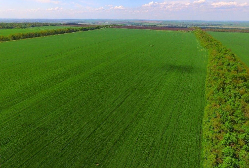 Бои за Ростов 17 декабря 1941 г. Батарея Оганова. Бои за Ростов 17 декабря 1941 г. Батарея Оганова.