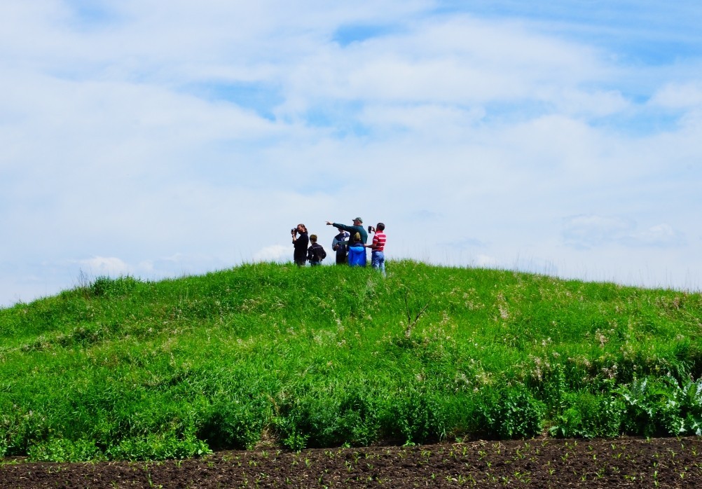 Бои за Ростов 17 декабря 1941 г. Батарея Оганова. Бои за Ростов 17 декабря 1941 г. Батарея Оганова.
