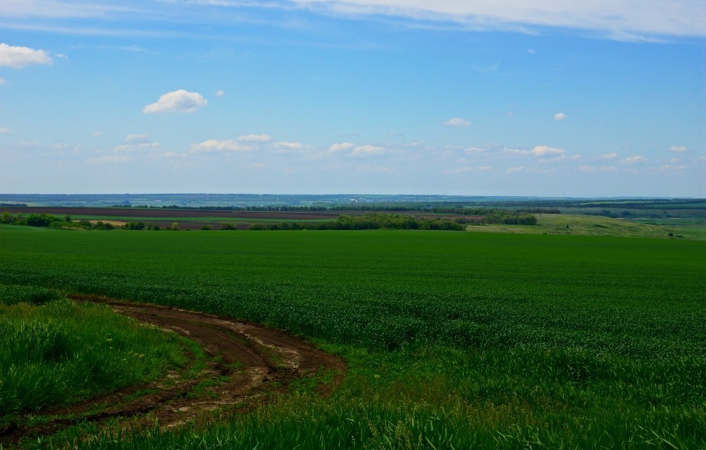 Бои за Ростов 17 декабря 1941 г. Батарея Оганова. Бои за Ростов 17 декабря 1941 г. Батарея Оганова.
