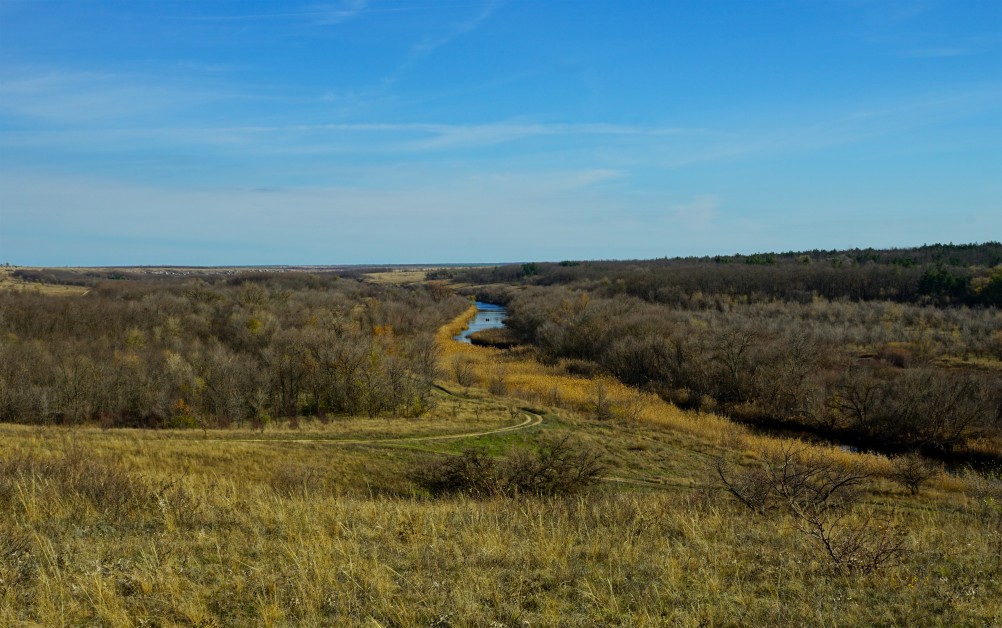 За грибами на берега Быстрой