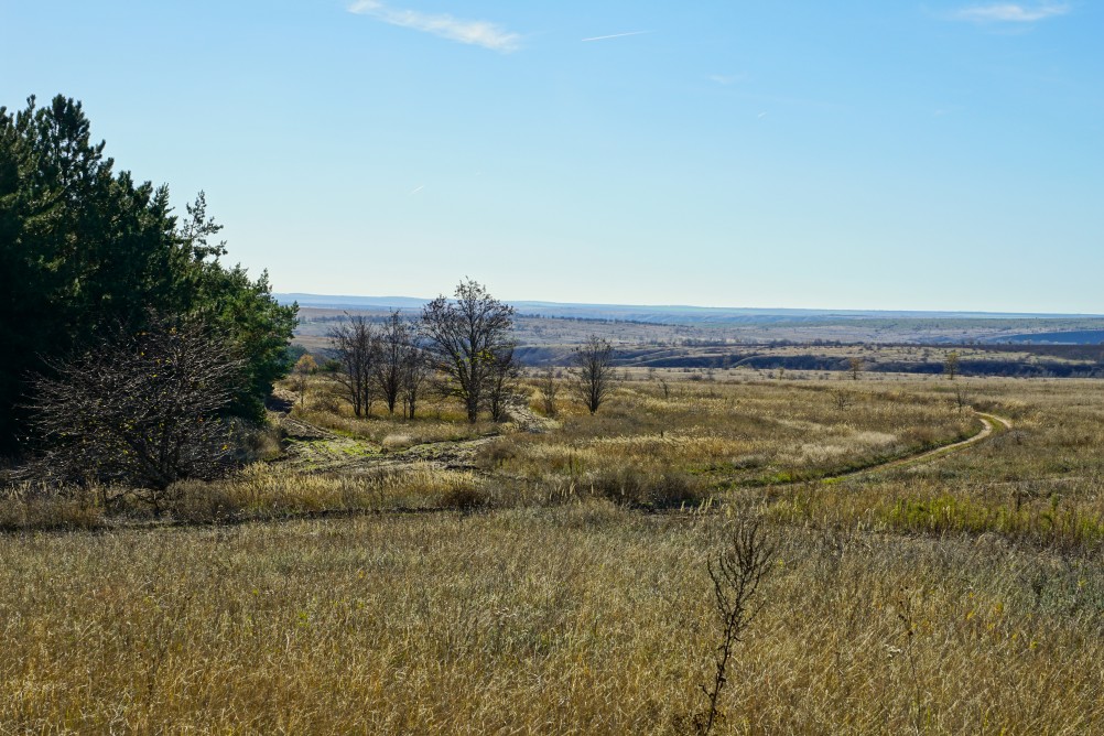 За грибами на берега Быстрой