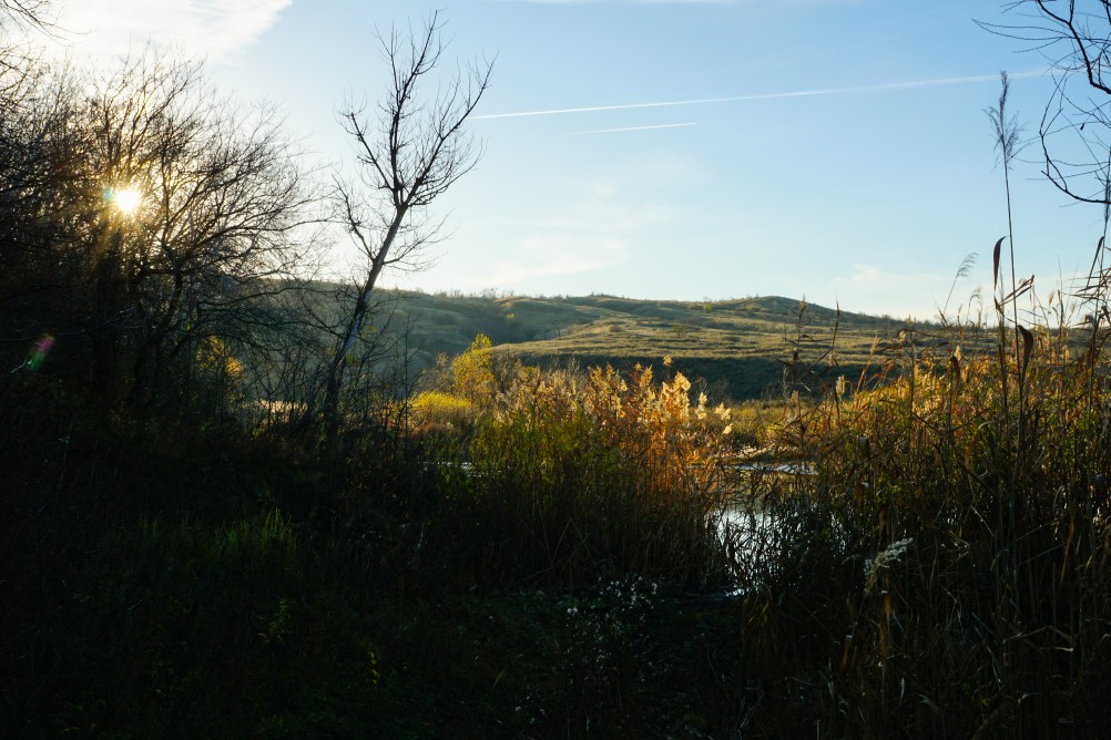 За грибами на берега Быстрой