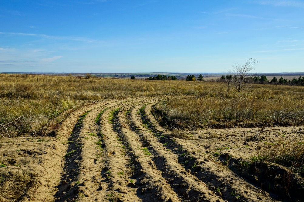 За грибами на берега Быстрой
