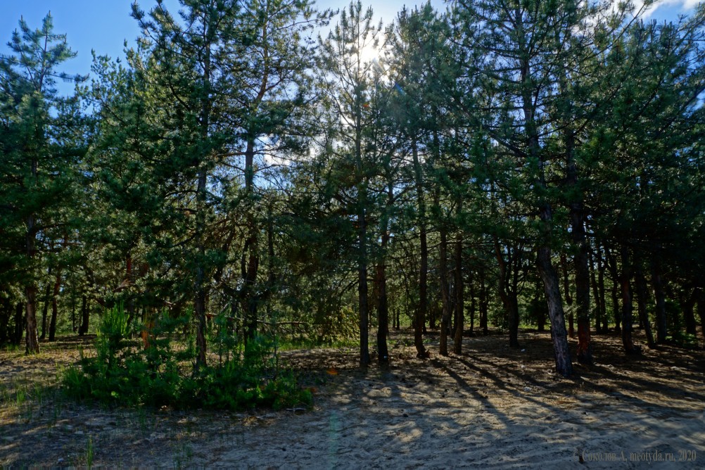 Путешествие по реке Калитве у хуторов Рудаков и Свинарев и поселка Горняцкий