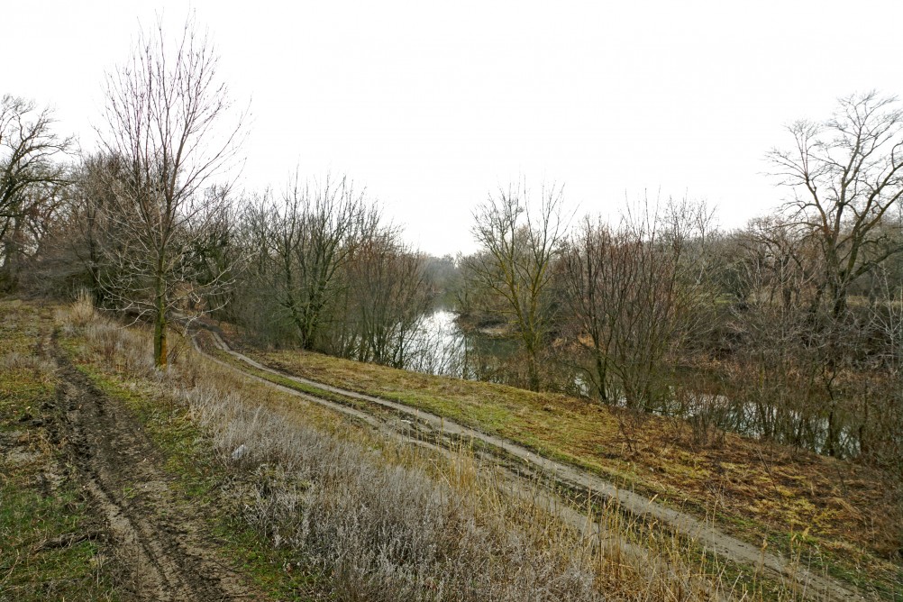 Пересечение протока Аксай и тёплого канала у станицы Бессергеневской