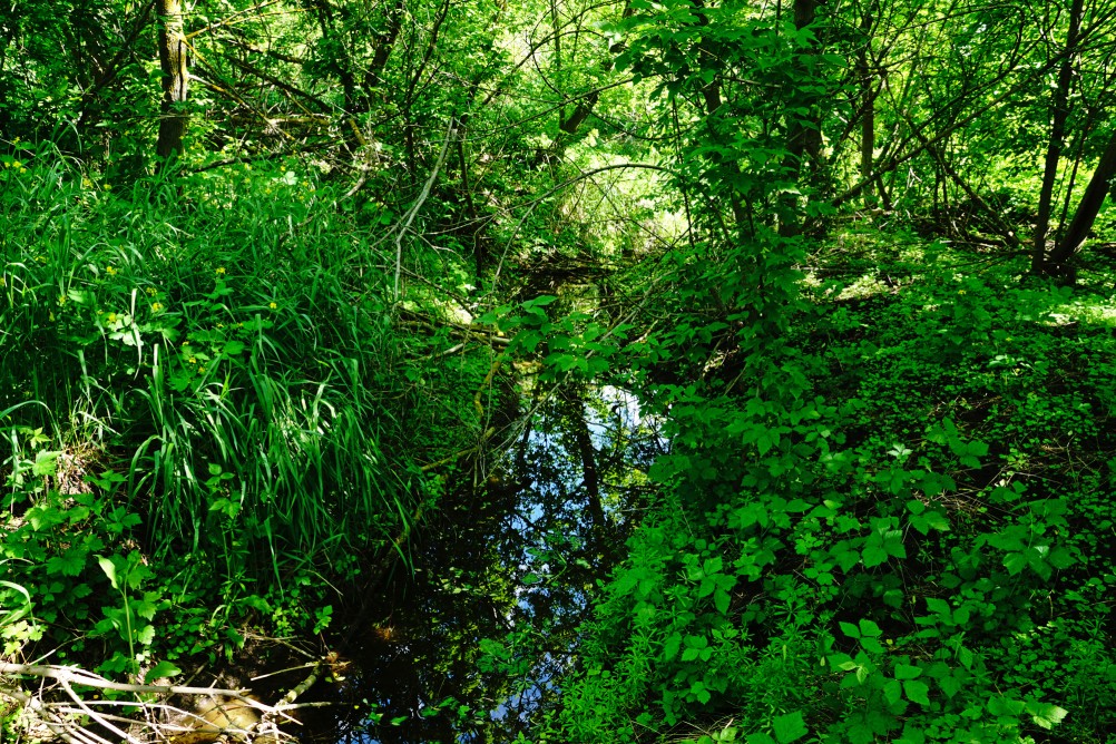 Водяная мельница в хуторе Казьминка на реке Кундрючья