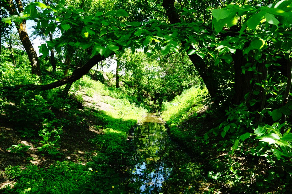 Водяная мельница в хуторе Казьминка на реке Кундрючья