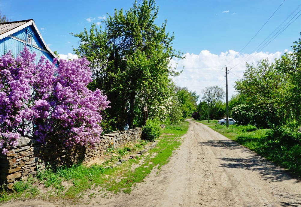 Водяная мельница в хуторе Казьминка на реке Кундрючья